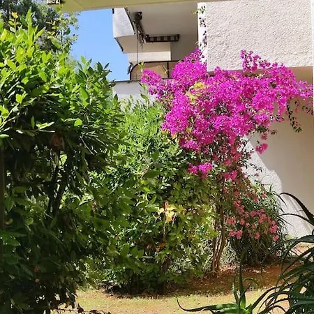 Apartmán Area Di Gabri E Alfo - Gate's House *